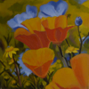 LENORE COLLINS ~ Californian Poppies - oil on canvas - 30 x 30 cm - €700