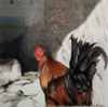 DIANA KINGSTON ~ Cockerel I - charcoal & pastel on paper - 46 x 46 cm -  €450