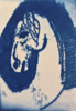 GINNY PAVRY ~ Aonbharr - cyanotype on paper - 9 x 13 cm 