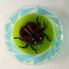 ANGELA BRADY Ladybird - Fuse Glass - 270 cm diameter - €240