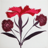 GRAINNE CUFFE- Dianthus III - etching 9/65 - 68 x 58 cm - €445