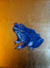 LYNDA MILLER - BAKER - Blue Toad - egg tempera on wood - 28 x 22.5 cm - €525