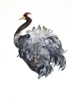 BIRGITTA SAFLUND - Common Crane - watercolour - 25 x 35 cm unframed - €250