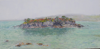 DAMARIS LYSAGHT - The Island Cadogan's Strand - oil on canvas on panel 30 x 60 cm - €935