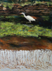 ANGIE SHANAHAN - Ilen Heron - acrylic on gesso panel - 51 x 41 cm - €700