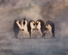 BIRGITTA SAFFLUND - Tribal Chill - watercolour - 48 x 58 cm - guide price €400