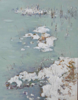 DAMARIS LYSAGHT - Derryconnel Bog, Frozen - oil on panel - 25 x 20 cm - €585 - SOLD