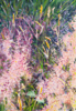 DAMARIS LYSAGHT - Native Grasses - oil on panel - 30 x 21 cm - €685