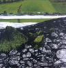 JANET MURRAN - Green Field, Green reflection - charcoal & acrylic on panel - 30 x 30 cm - €395