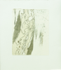 ALISON TRIM - Ghost Limb - bark traces & rice paper etching - 30 x 26 cm - €120