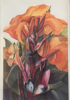 BIRGITTA SAFLUND - Canna Lillies - watercolour - €550