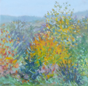 DAMARIS LYSAGHT - Autumn, Coolcaha 1 - oil on plywod - 15 x 15 cm -€285