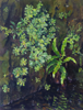 DAMARIS LYSAGHT - Sr.Patrick's Cabbage - Oil on canvas on panel - €985