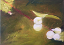 HELEN O'KEEFFE - Snowberry - oil on canvas - 15 x 20 cm -€300