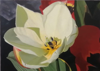 KYM LEAHY - White Tulip - acrylic on board - 30 x 40 cm - €1130
