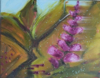 HELEN O'KEEFFE - Foxglove 2 - oil on canvas - 20 x 26 cm - €300