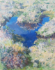 DAMARIS LYSAGHT - Bog Pool 1 - oil on panel - 42 x 37 cm - €585
