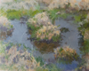 DAMARIS LYSAGHT - Bog Pool 2 - oil on panel - 37 x 42 cm - €585