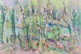 DAMARIS LYSAGHT - Glensallagh Wood - oil on canvas -51 x 76 cm - €985
