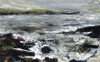 DONAGH CAREY ~ Rising Tide, Crewe - oil on board - 14 x 23 cm - €200 - SOLD