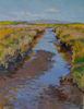 DAMARIS LYSAGHT ~ Salt Marsh, Caher - oil on canvas on panel - 46 x 36 cm - €1100
