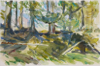 NIGEL H JAMES ~ Spruce -watercolour - €450