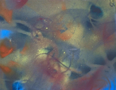  TERRANCE KEENAN ~ Uji : Studies in Being-Time #2 - spray paint on canvas - 20 x 25 cm - €250