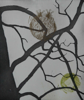 AKINO / O'FARRELL ~ Owl Hoot & Movement - etching & aquatint - 22 x 19 cm - €265