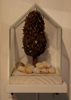 ANGIE SHANAHAN ~ Glasshouse Cluster - found objects with gold leaf - 17 x 10 cm - €550 