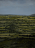 DIARMUID BREEN ~ Dream of Trees - oil on canvas - 40 x 30 cm - €450