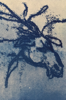 GINNY PAVRY ~ The King's Horse - cyanotype on paper - 9 x 13 cm