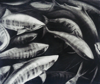 JANET MURRAN ~ The Catch IV - mixed media - 44 x 49 cm - €225