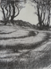 JANET MURRAN ~ Two Trees X - pencil on canvas - 38 x 31 cm - €245