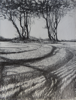 JANET MURRAN ~ Two Trees IX - pencil on canvas - 38 x 31 cm - €245
