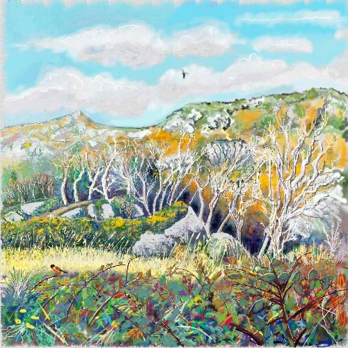 PETER WOLSTENHOLME ~ Dead Trees near Rock Island - iPad painting/limited edition print - 38 x 38 cm - €240
