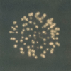 DOMINIC TURNER - Fireworks II Easter Monday 1916 - cyanotype - €95