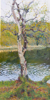 DAMARIS LYSAGHT - Zephyr across Manus Lake- oil on panel - 45 x 22 cm - €825