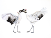 BIRGITTA SAFLUND - Whooping Cranes - watercolour - 35 x 50 cm unframed - €400