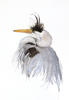 BIRGITTA SAFLUND - Heron - watercolour - 25 x 35 cm unframed - €250