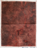 TOM WELD - Border Dispure - oil on paper - 112 x 87 cm - €450