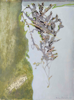 ANGIE SHANAHAN - Clear Water Wrack - acrylic on gesso panel - 51 x 41 cm - €630