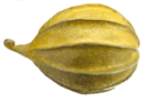 JANE JERMYN - Gourd Form - ceramic - €150 - SOLD