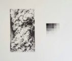 IDA MITRANI - Tonal Ashes - pencil on paper - 39 x 49 cm - €550