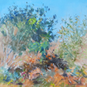 DAMARIS LYSAGHT - Autumn, Coolcaha 3 - oil on plywod - 15 x 15 cm - €285
