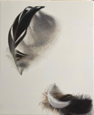 DIANE KINGSTON - Feathers- oil on canvas - €425