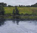 JANET MURRAN - Liminal watery place - acrylic on panel - €795 SOLD