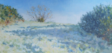 DAMARIS LYSAGHT - Frosty Morning - oil on canvas on panel - 20 x 40 cm - €735